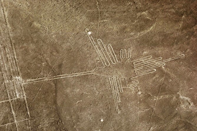 Nazca Lines Full Day Trip From Lima - Transportation to and From Paracas
