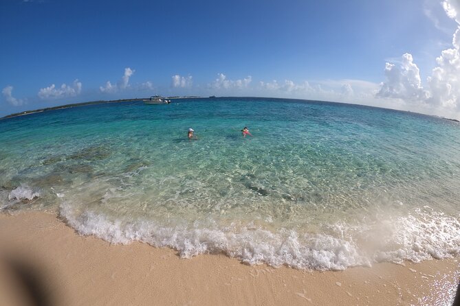 New Providence Small-Group Island, Swimming Pigs, Turtle Tour  - New Providence Island - Positive Experiences