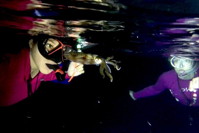 Night Snorkeling - Observation of Octopus and Other Species - Weather Conditions
