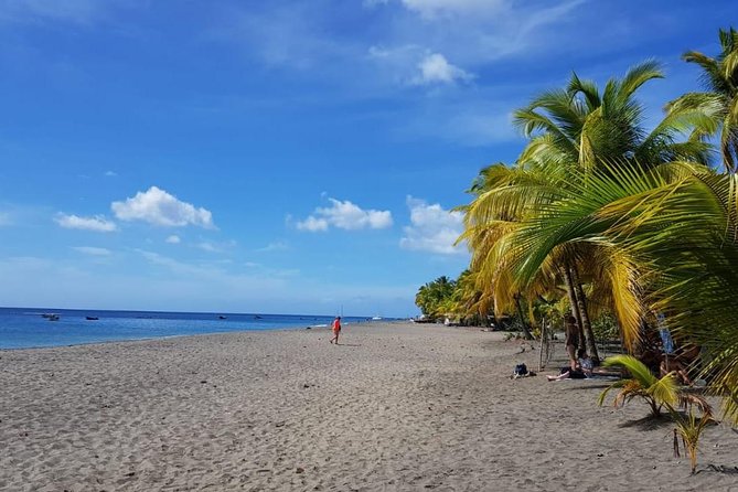 North Island Tour And Martinique Best Secret - Traveler Reviews and Memorable Experiences