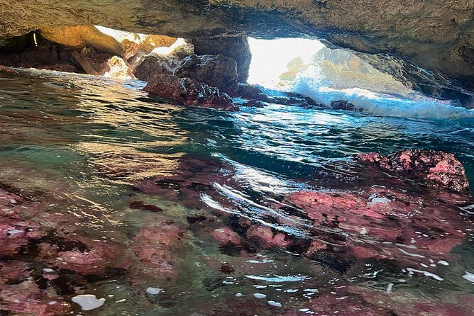 North Puerto Rico Nature Tour  - San Juan - Common Questions