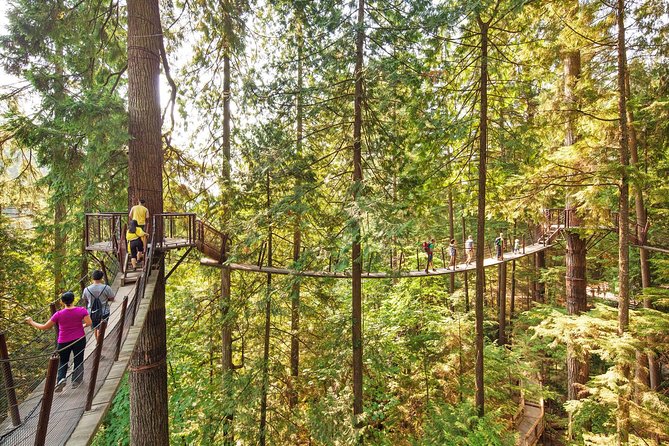 North Shore Day Trip From Vancouver: Capilano Suspension Bridge & Grouse Mtn - Common Questions