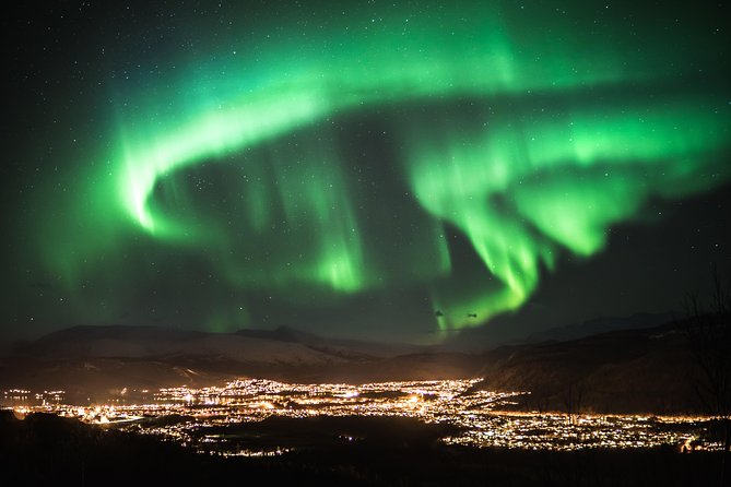 Northern Light Safari - The Sum Up
