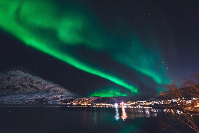 Northern Lights Boat Cruise From Reykjavik - The Sum Up