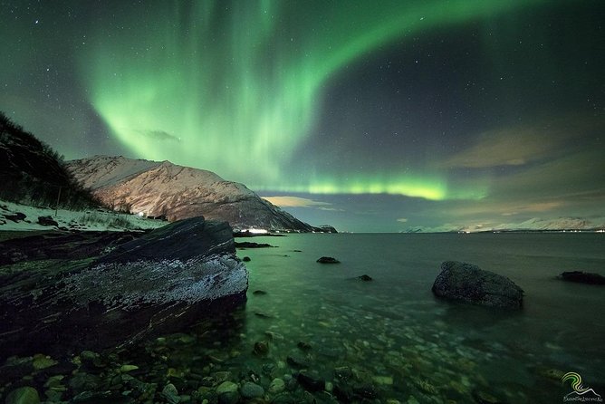 Northern Lights by Minibus. Photos Under the Lights Included. Tromso - Price and Overall Recommendation