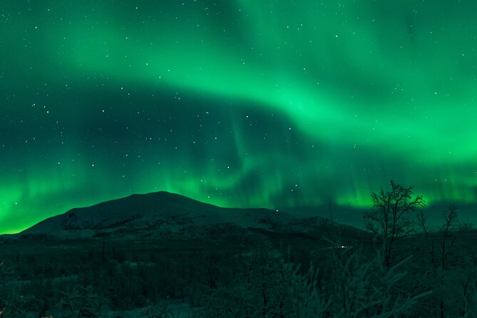 Northern Lights Tour From Kiruna to Abisko With Dinner - Common Questions