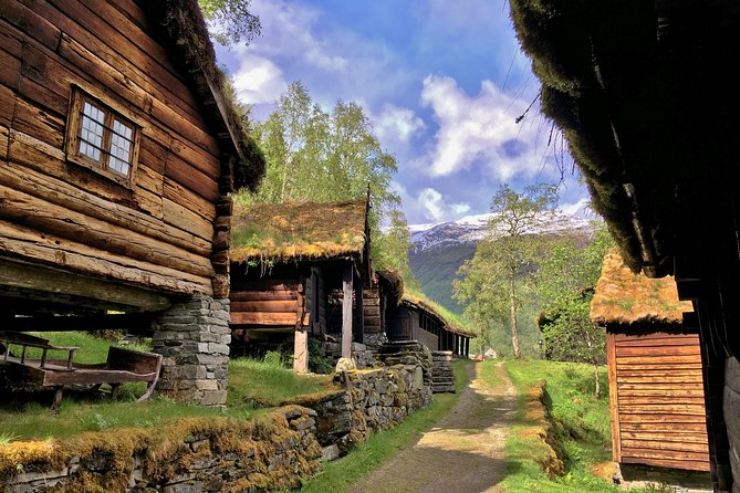Norway: Voss and Gundvagen Private Tour  - Bergen - Learning About Norways Viking History