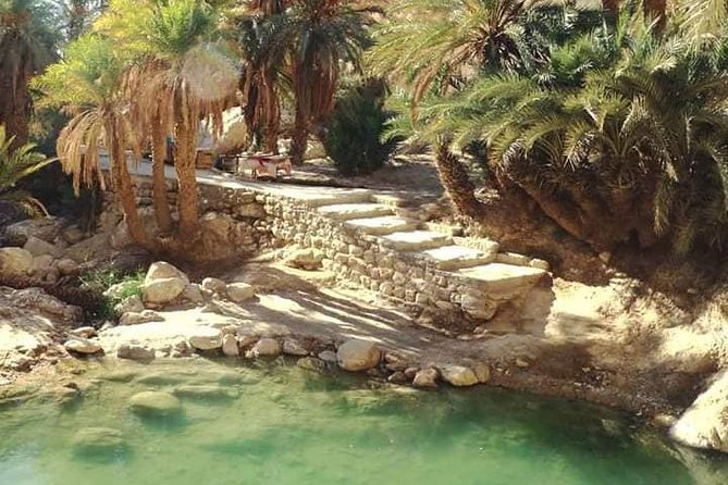 OASIS SAFARI: 2 DAYS Departure Djerba & Zarzis - Safari Highlights