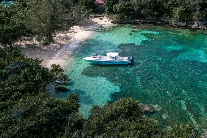Ocho Rios All-Day Powerboat Adventure - Reviews