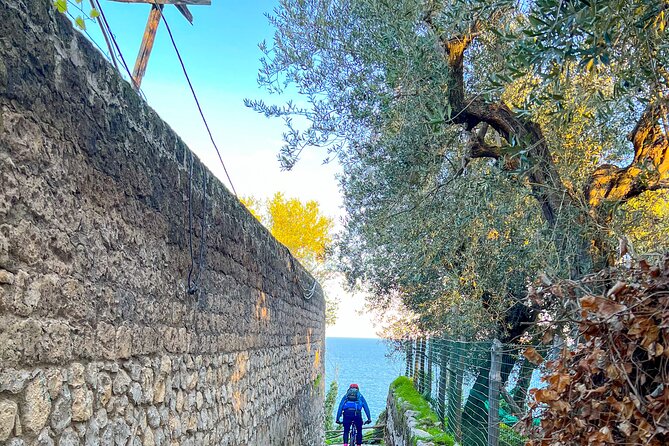 Oil and Lemon - Sorrento E-Bike Tour Experience - The Sum Up