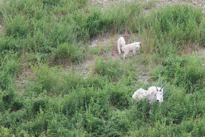 Okanagan Valley Discovery Tour - Common Questions