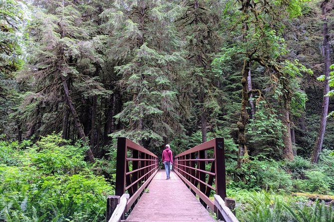Olympic National Park Luxury Small-Group Day Tour With Lunch - Additional Information