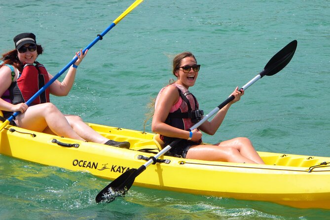 On Your Own: Kayak in the Mangrove Lagoon - Overview and Experience