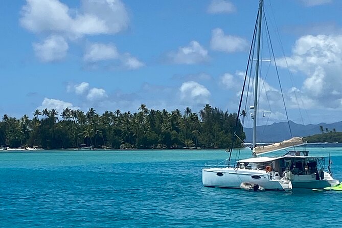 One Day Cruise and Catamaran Excursion - Common Questions (FAQs)