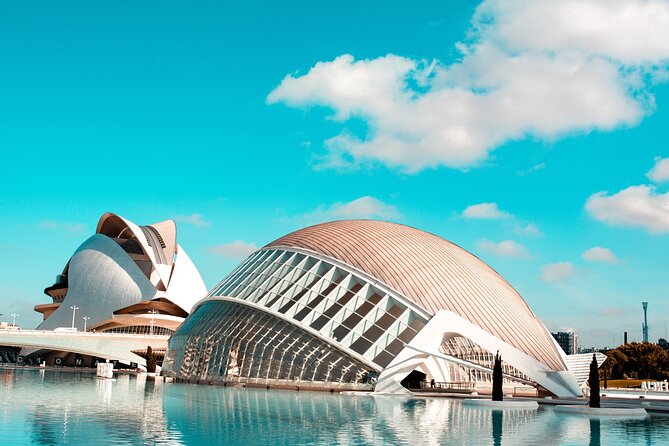 One Day Tour in Valencia From Alicante - Common Questions
