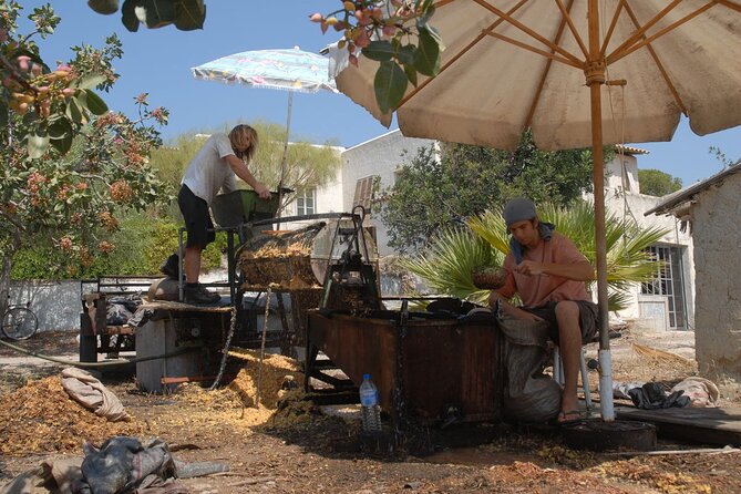 Organic Pistachio Orchard Tour (With Snacks!) - Common Questions