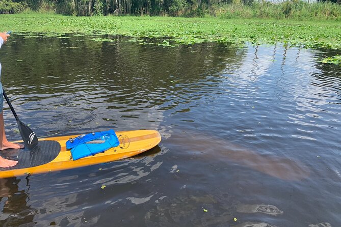 Orlando Manatee and Olde Florida History Adventure Tour - Directions and Miscellaneous Details