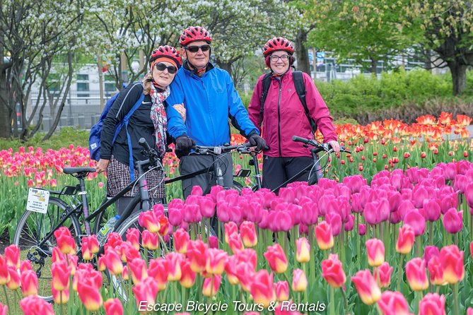 Ottawa Highlights 3.5 Hour Bike Tour - The Sum Up