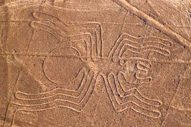 Overflight of the Nazca Lines Tour - Common Questions