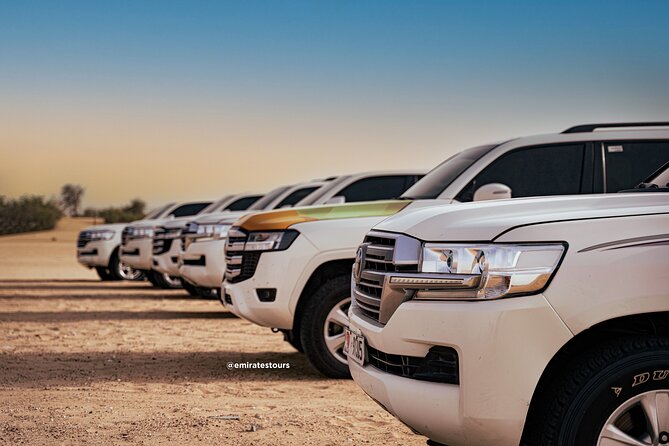 Overnight Desert Safari With BBQ Dinner & Breakfast Abu Dhabi - Activities Included in the Safari