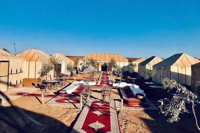 Overnight Stay in Desert Camp & Camel Trekking - Common Questions