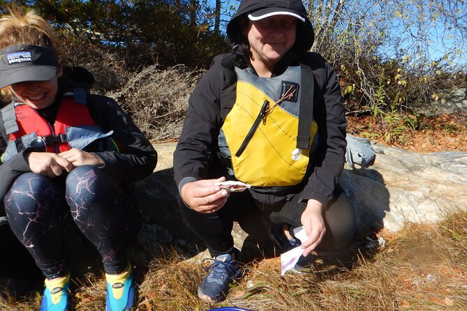 Oyster Farm & Complimentary Tasting Sea Kayak Tour in Casco Bay - The Sum Up