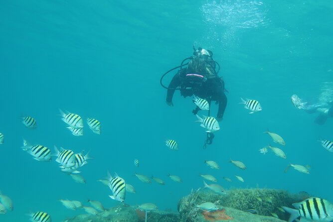 Palm Beach Private 1-Day Scuba Lesson  - West Palm Beach - Additional Information and Assistance
