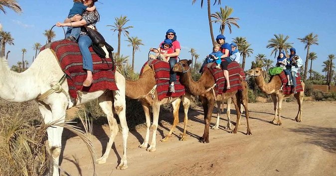 Palm Grove Quad Bike and Camel Ride Tour - Traveler Photos and Reviews
