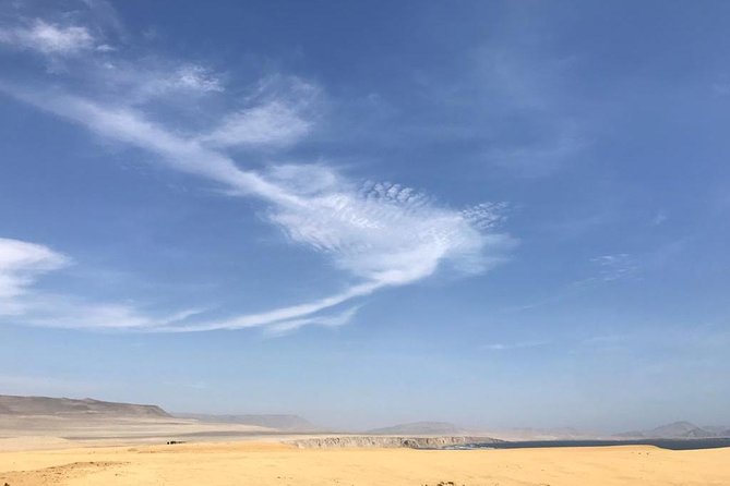 Paracas National Reserve Private Tour From Paracas or Pisco - The Sum Up