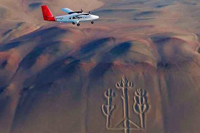 Paracas Shore Excursion: Nazca Lines Tour - Inclusions