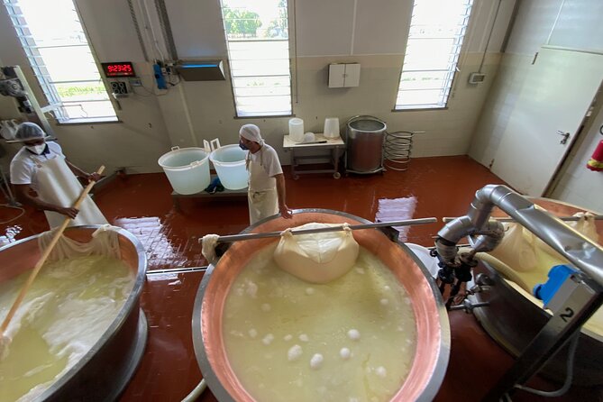 Parmigiano-Reggiano Cheese Factory Small Group Tour From Parma - Common Questions