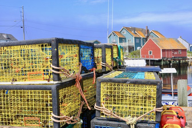 Peggys Cove Day Trip From Halifax - Negative Reviews to Consider