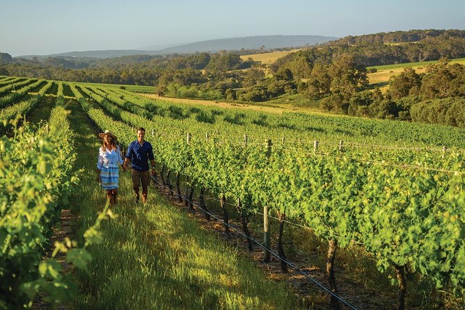 Perth: 6-Day All-Inclusive Western Australia Tour - The Sum Up