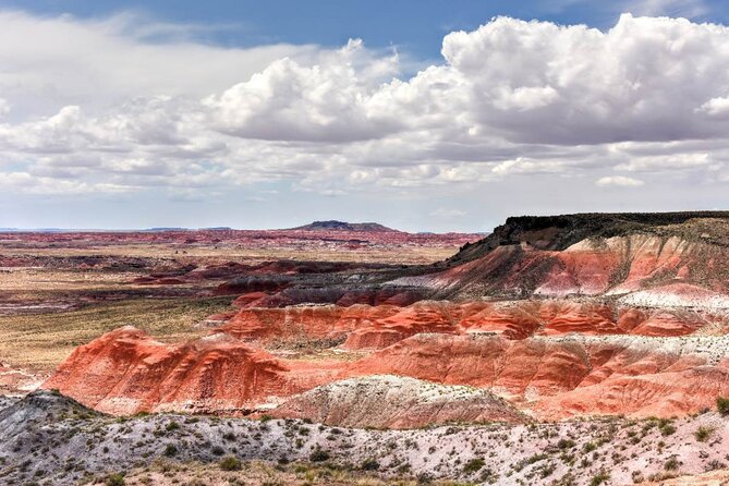 Petrified Forest National Park Self-Guided Driving Audio Tour - Common Questions