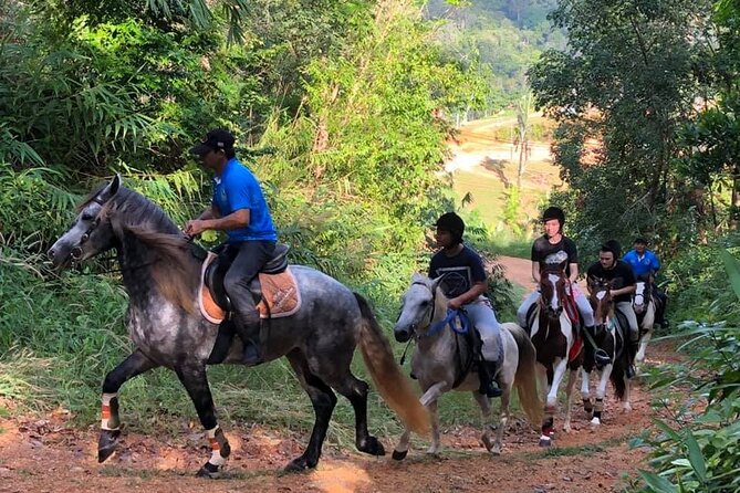 Phuket Horse Riding Experience - The Sum Up