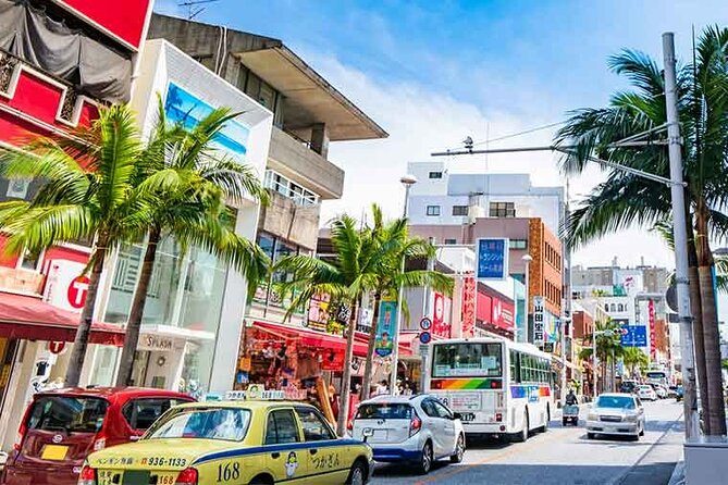 Port Pick-Up: Naha Private Tour Licensed Guide＆ Vehicle - Additional Information and Contact Details
