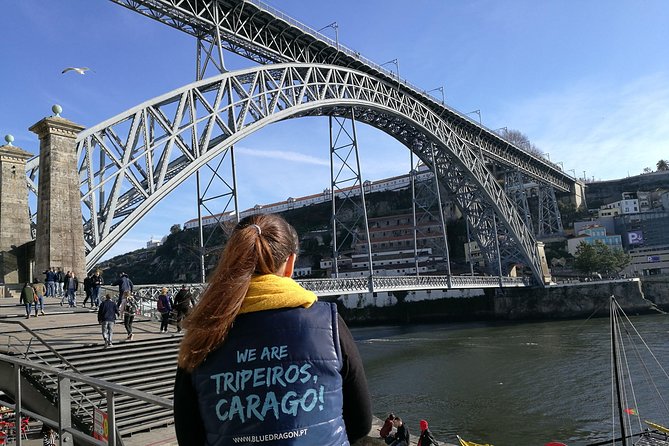 Porto: 2-Hour City Highlights Segway Tour - Guided Experience - Tour Highlights and Attractions