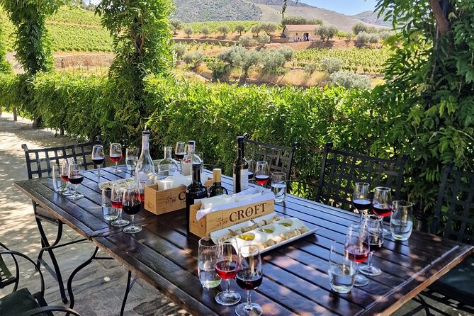 Porto Private Douro Valley Tour With Lunch, Tastings, Boat  - Pinhao - Customer Reviews and Testimonials