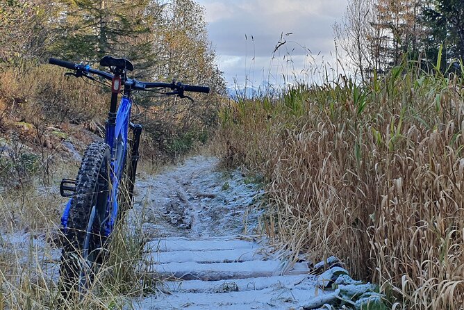 Premium Ebike Rental - Traveler Photos