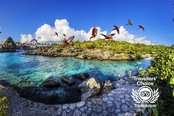 Priority Access: Xcaret Day Trip Night Show Transportation *Official Product* - Customer Reviews and Testimonials