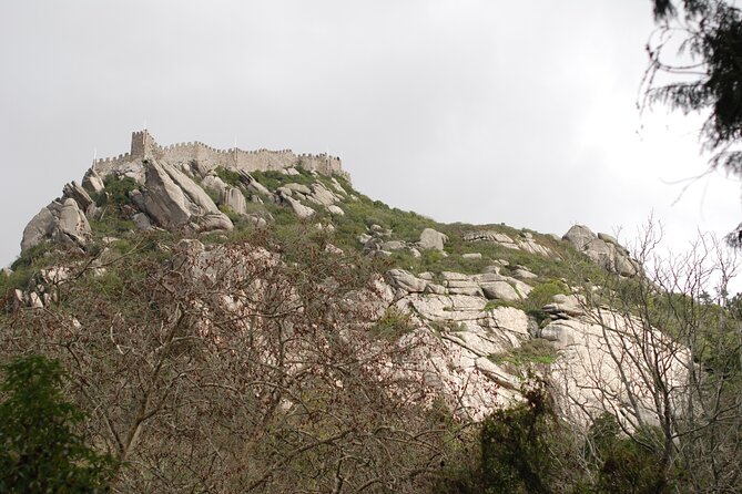 Private 1 Hour Sintra Guided Tour - Reviews and Questions