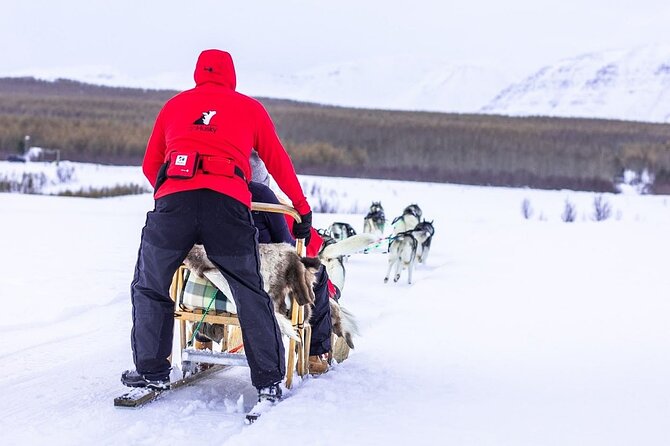 Private 2-Hour Dog Sledding Tour, Akureyri - The Sum Up