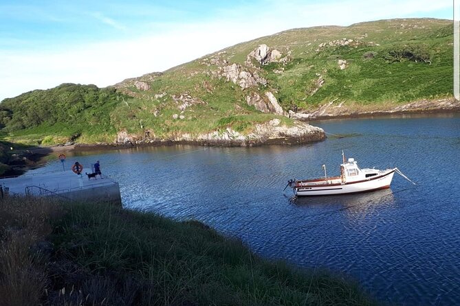 Private 7 Day Custom Luxury Car MPV Tour Of The South & South West Ireland - Additional Information