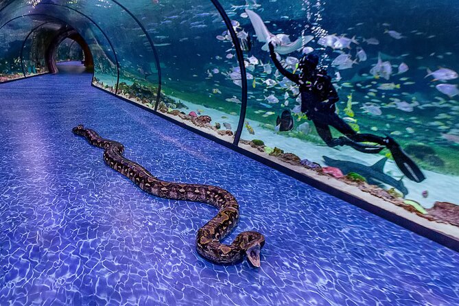 Private Abu Dhabi City Tour With National Aquarium - The Sum Up