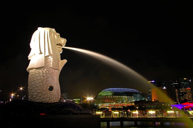 Private Airport Transfer in Singapore - The Sum Up