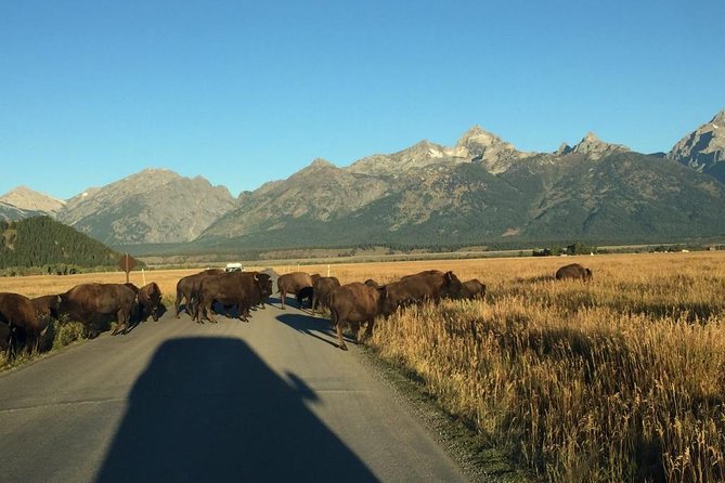Private All-Day Tour of Grand Teton National Park - Common Questions