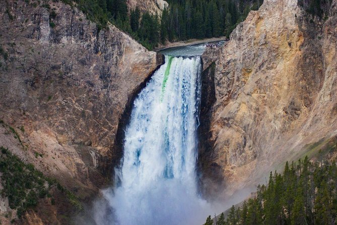Private All-Day Tour of Yellowstone National Park - Customization and Personalization Options