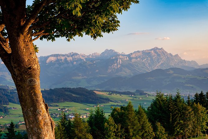 Private Appenzell and Liechtenstein Day Trip From Lucerne - Common Questions