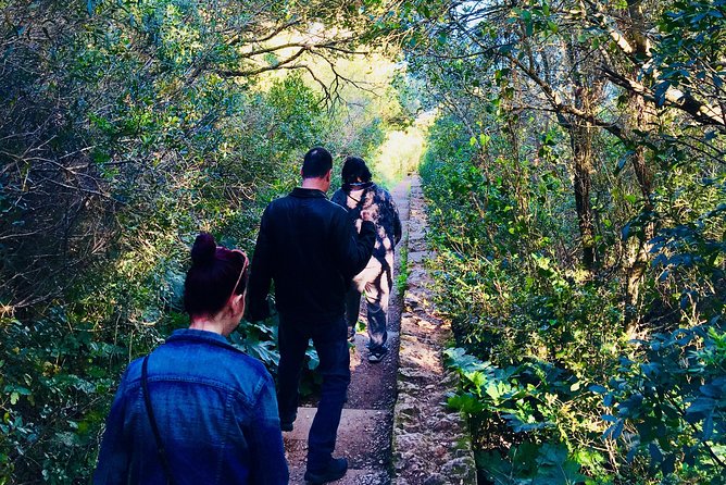 Private Arrábida Natural Park Day Tour With Wine Tasting  - Setubal District - The Sum Up