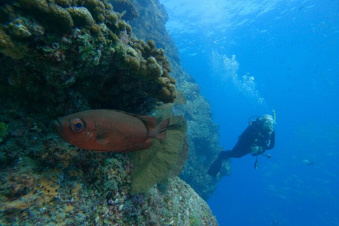 Private Beginner Scuba Diving Experience in Cabo San Lucas - Common Questions About Scuba Diving in Cabo San Lucas
